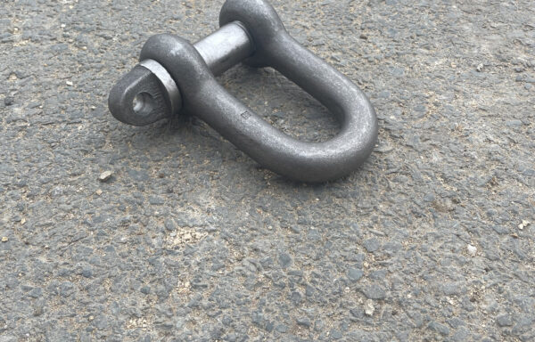 Dee Shackle